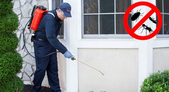 Akkışla Böcek İlaçlama böcek ilaçlama ve haşere kontrolü — ilaclama-tr.com